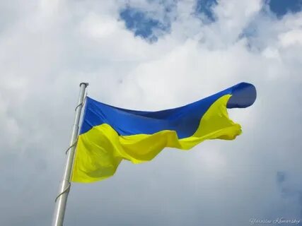 Живой флаг украины