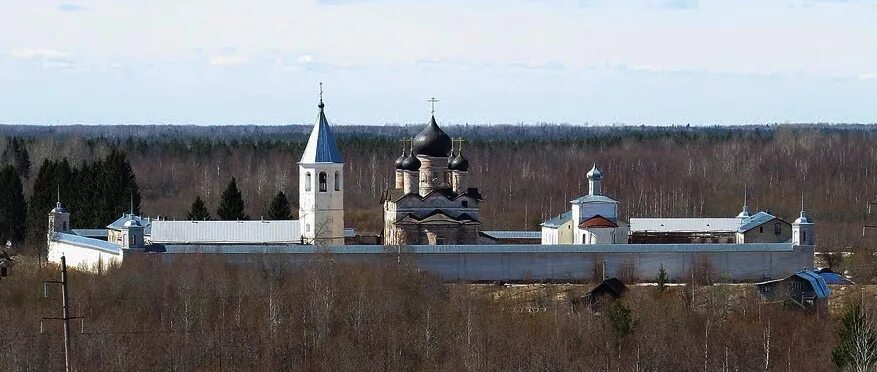 Свято троицкий зеленецкий. Свято-Троицкий Зеленецкий монастырь. Мартирий Зеленецкий монастырь. Зеленецкий монастырь Волховский район. Троицко Зеленецкий монастырь СПБ.