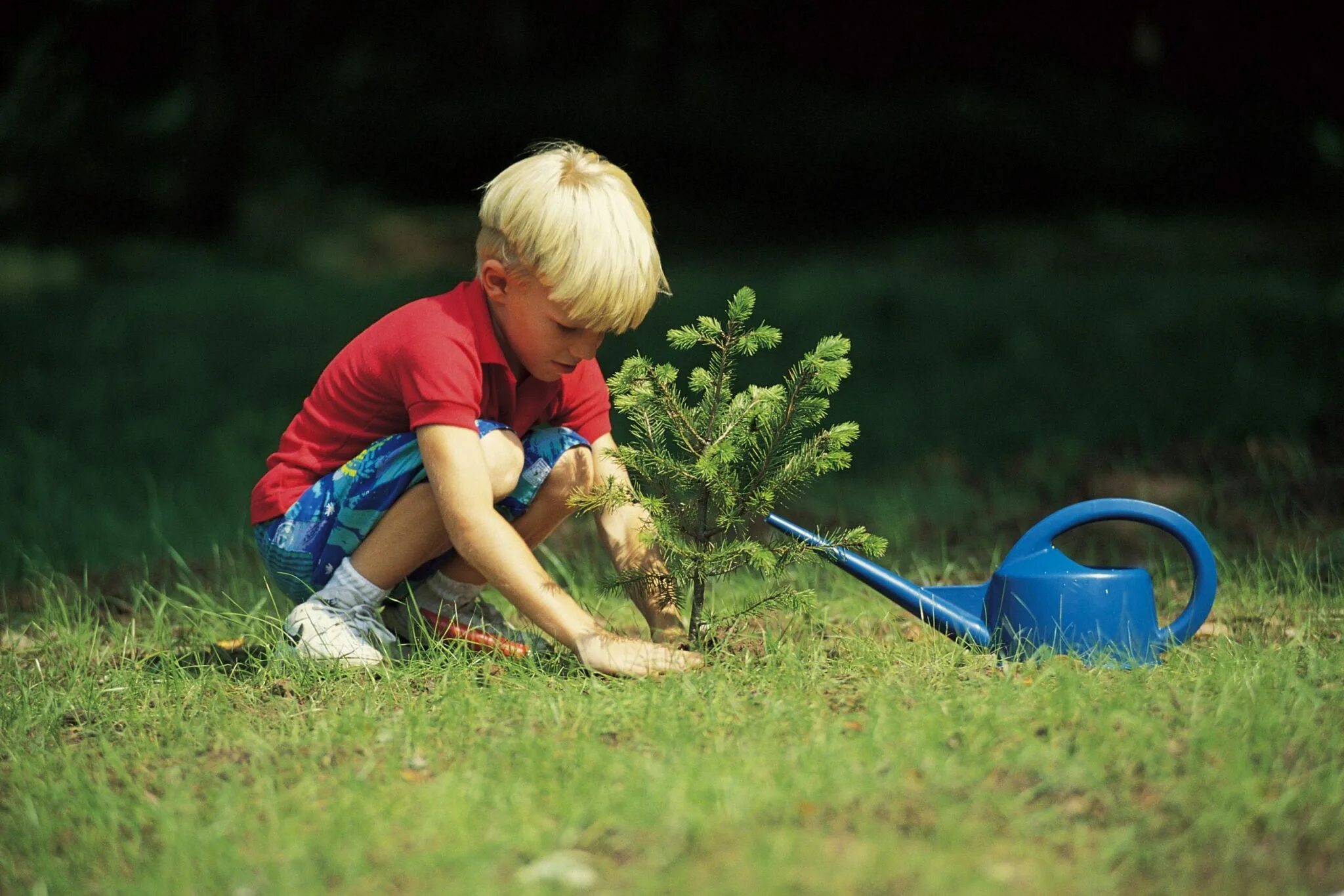 Дети и природа. Экологическое воспитание. Дети трудятся. Трудовое воспитание детей.