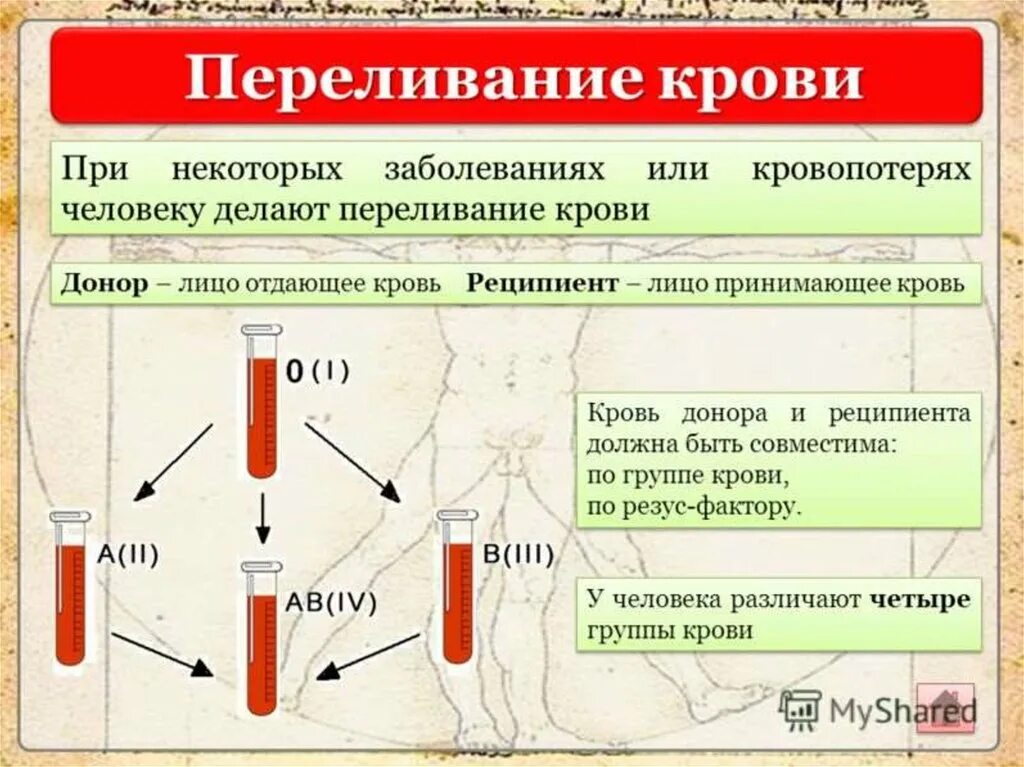 Что будет если перелить другую группу. Совместимость крови донора и реципиента. Переливание крови резус-фактор. Совместимость группы крови донора и реципиента. Схема переливания крови.