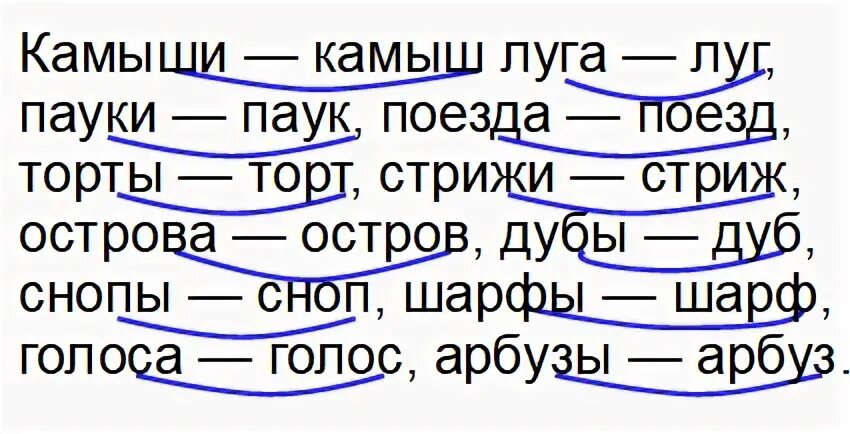 Прочитайте измените каждое слово. Камыши камыш Луга-луг. Камыш камыши Луга луг пауки. Русский язык 1 класс слово луг. Камыши -камыши, русский язык упражнение 35 2 часть.