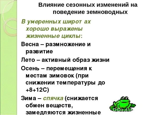 Влияние сезонных изменений на жизнь земноводных. Сезонные изменения в жизни земноводных. Влияние сезонных изменений на поведение земноводных. Годовой жизненный цикл земноводных.