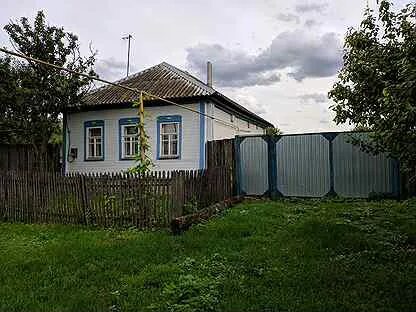 Авито бирюч