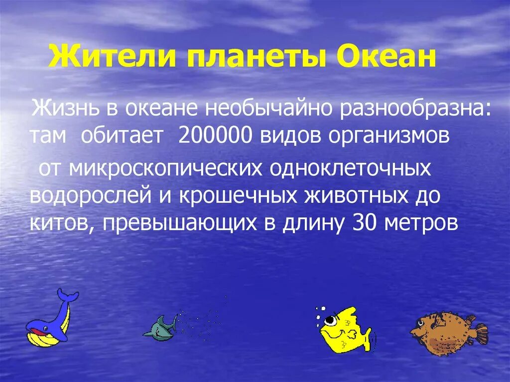 Сообщение о жизни в океане 6 класс