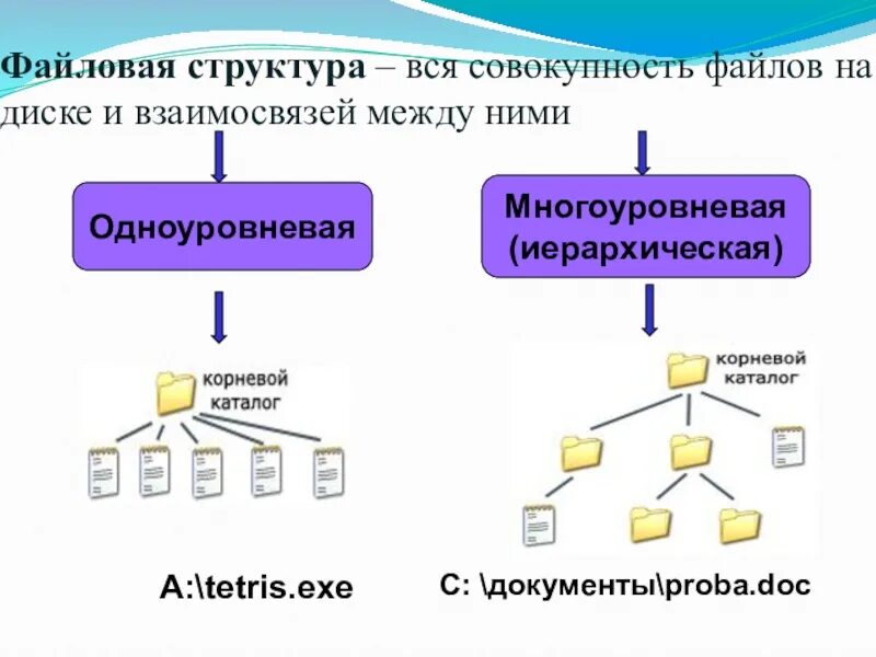 Система информатика 7 класс. Файлы и файловые структуры 7 класс. файловая структура диска информатика 7. файловая структура диска информатика 7 класс. файловые структуры 7 класс информатика.