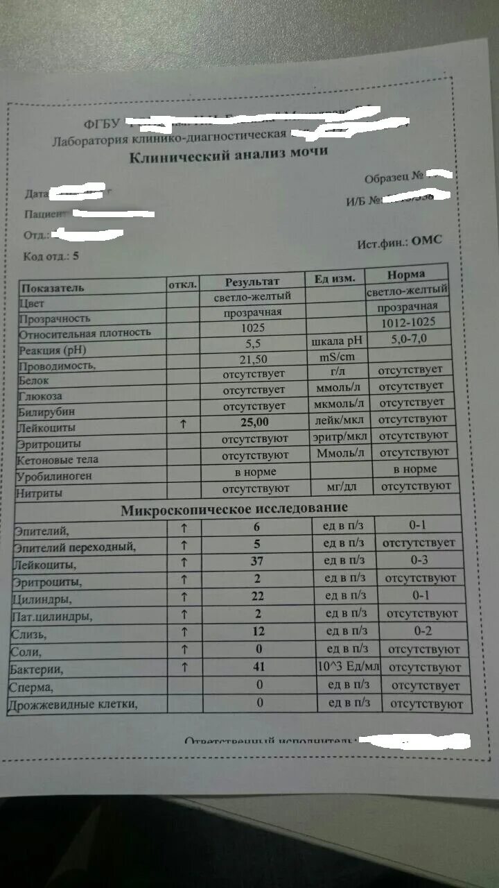 Что значит бактерии в моче у мужчин. Анализ мочи. Анализ мочи бактерии. Общий анализ мочи бактерии. Анализ мочи микроскопическое исследование.