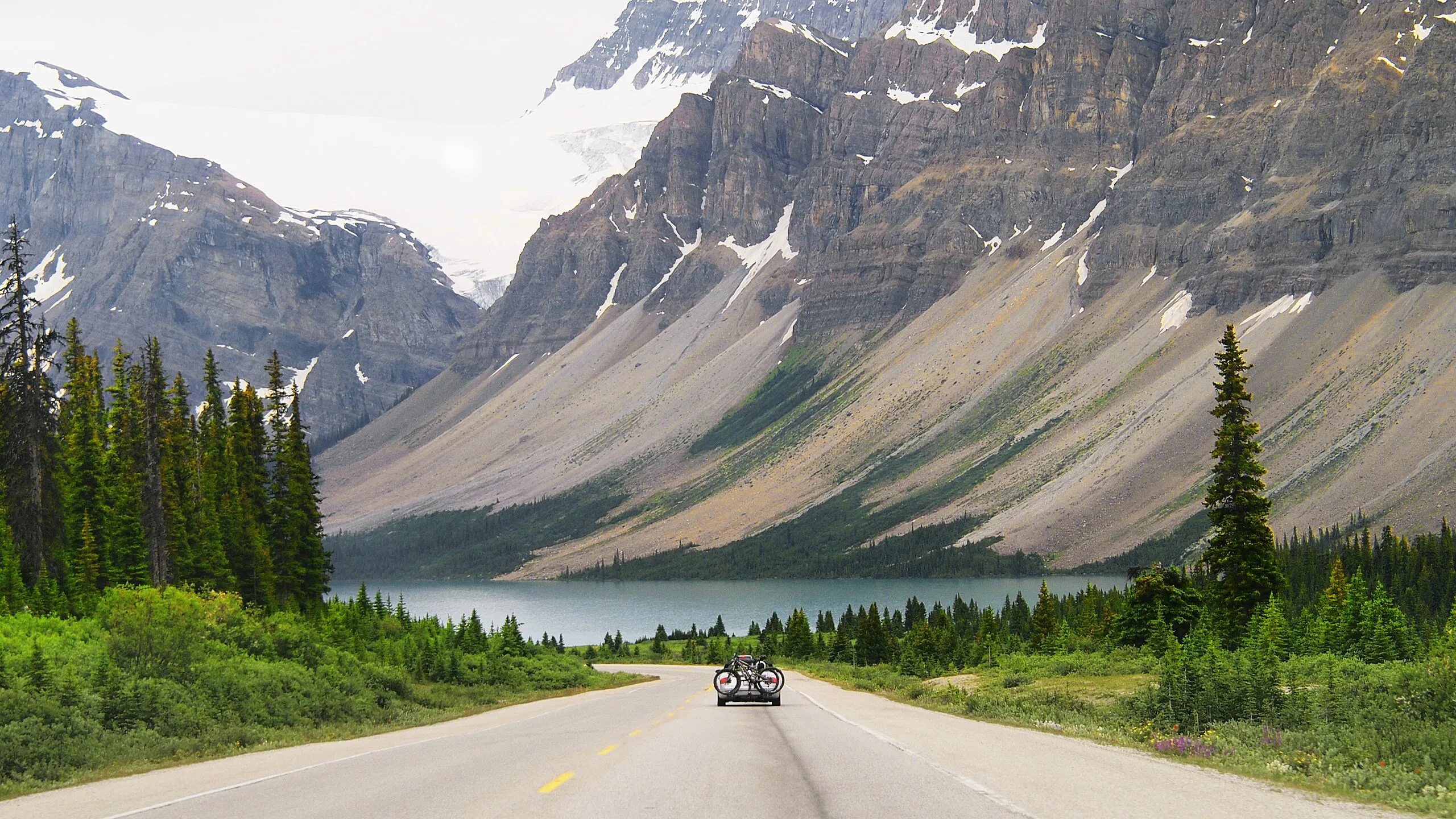 Icefields Parkway Канада. Заповедник Банф шоссе. Горы Рокис Канада. Канада лес дорога горы. Максимальные высоты канады