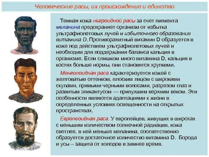 Человеческие расы 9 класс. Происхождение рас человека. Расы человека их происхождение. Человеческие расы и их происхождение. Происхождение человеческих рас.