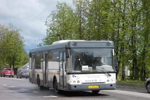 495 голубое