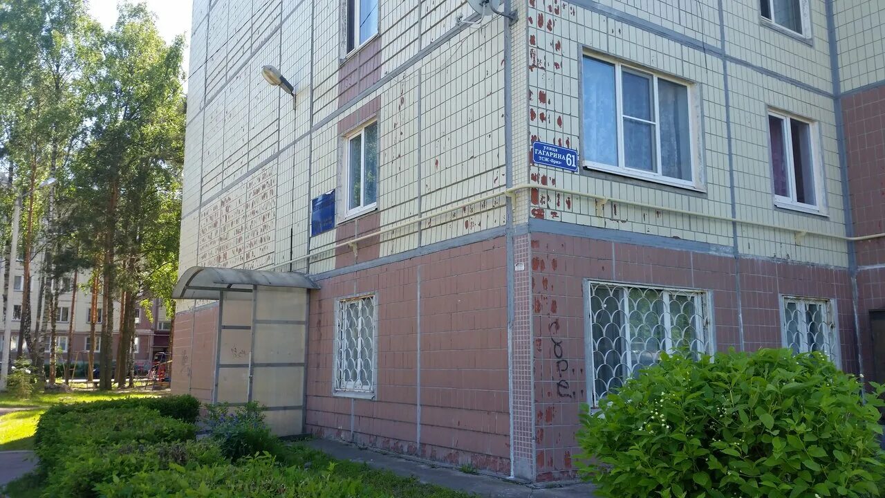 Гагарина 61а обнинск. Гагарина 61 волгодонск. Архангельск, улица гагарина, 61. Улица гагарина 61. Улица гагарина 61.