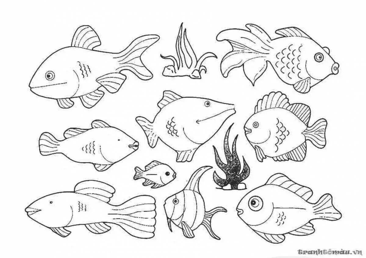 Раскраска рыбы для детей 7 лет. Рыба раскраска. Рыбки для раскрашивания. Раскраска рыбка. Аквариумные рыбки раскраска.
