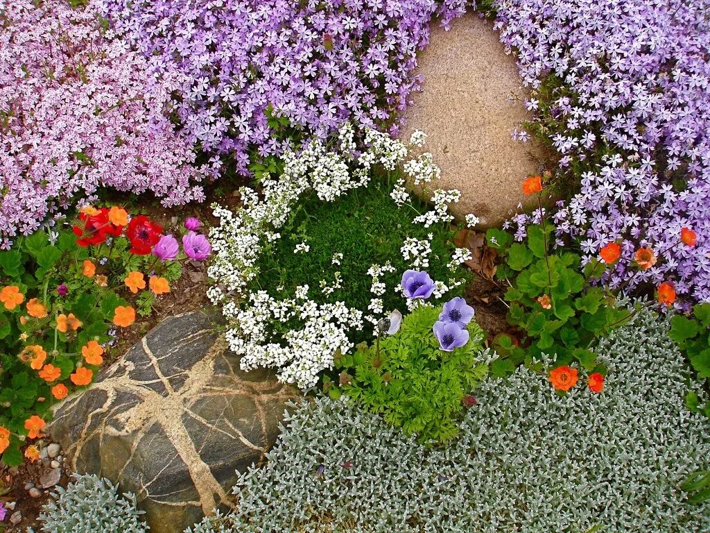 Pin on Plantas y Flores Beautiful flowers garden, Beautiful gardens, Flower gard