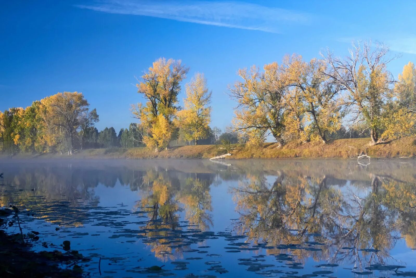 Село Клепиково Алтайский. Клепиково-Бийск. Клепиково Ишимский район. Алтайский край Клепиково Усть-Пристанский район. Погода в клепиково усть пристанского алтайском крае