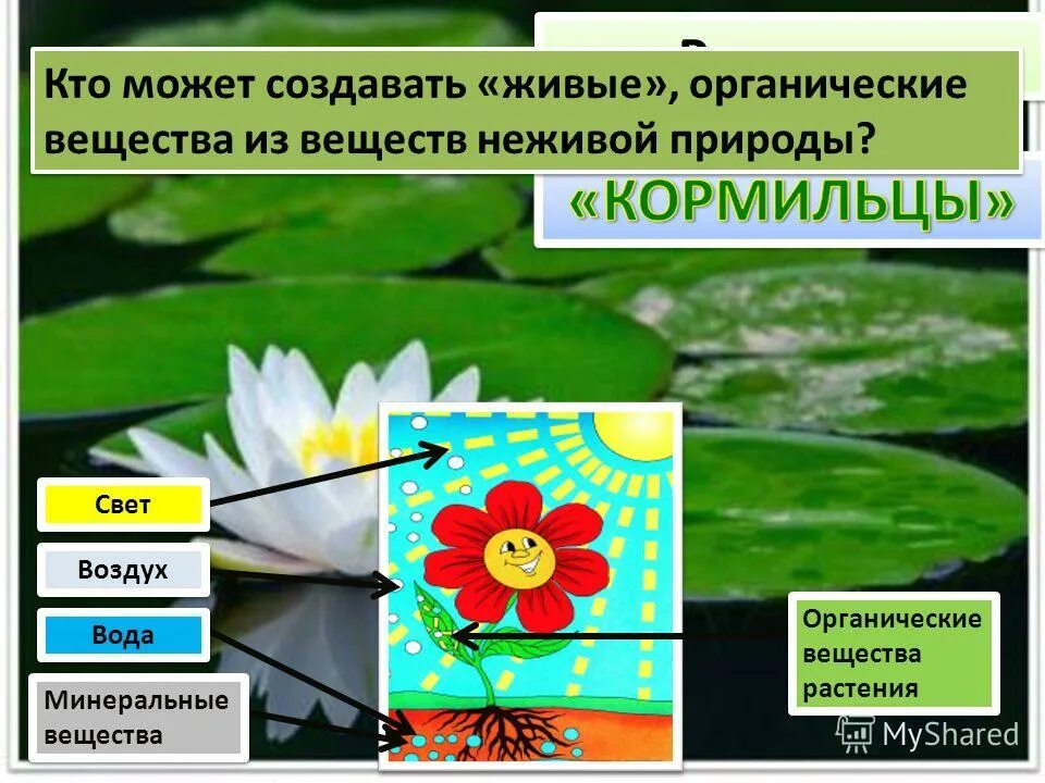 Из неживого создали живое. Органические вещества в неживой природе. Органические вещества в воздухе. Растение кто создал. Обмен веществ у растений.