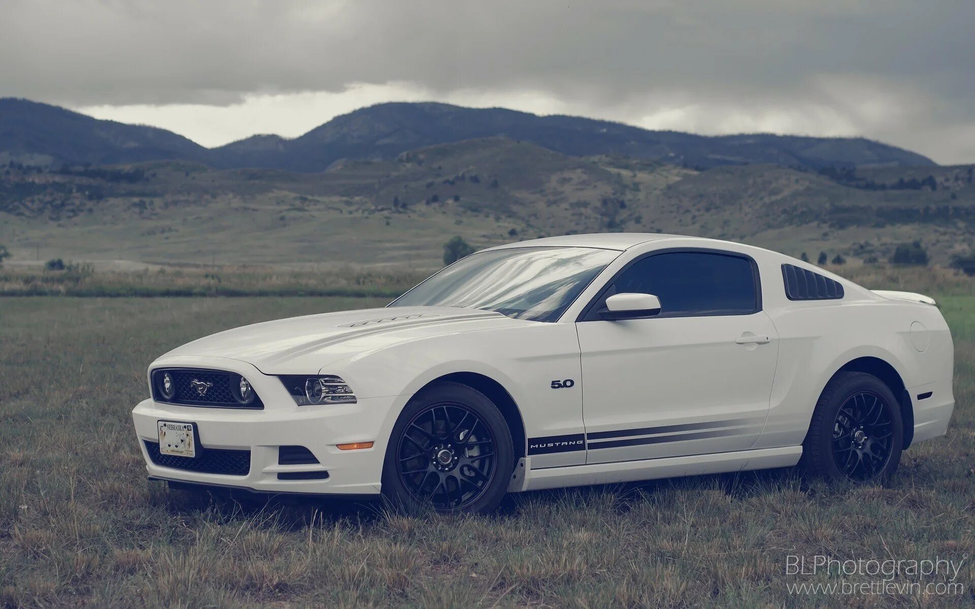 One of the girls streets white mustang. Форд Мустанг. Ford Mustang 2013. Форд Мустанг gt белый. Форд Мустанг 2013 года.