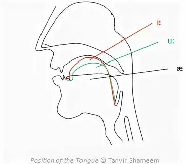 T position