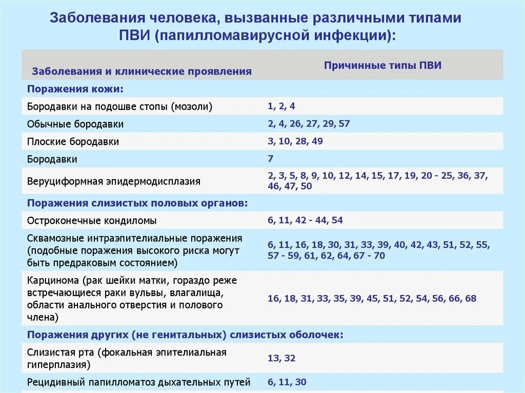Днк впч высокого риска 31. Типы впч высокого онкогенного риска. высокоонкогенные типы впч у мужчин. вирус папилломы человека 31 и 33 тип. днк впч 68 типа у женщин что это.