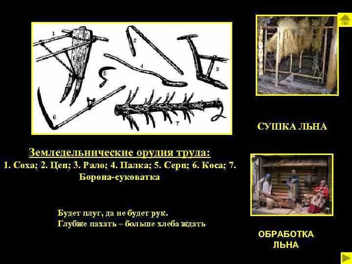 Календарь темного соха