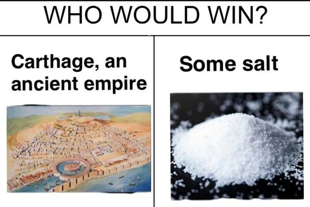 Carthago delenda est. Carthago Delenda est Мем. «Carthago Delenda est» — «Карфаген должен быть разрушен». Who would win. Карфаген должен быть разрушен мемы.