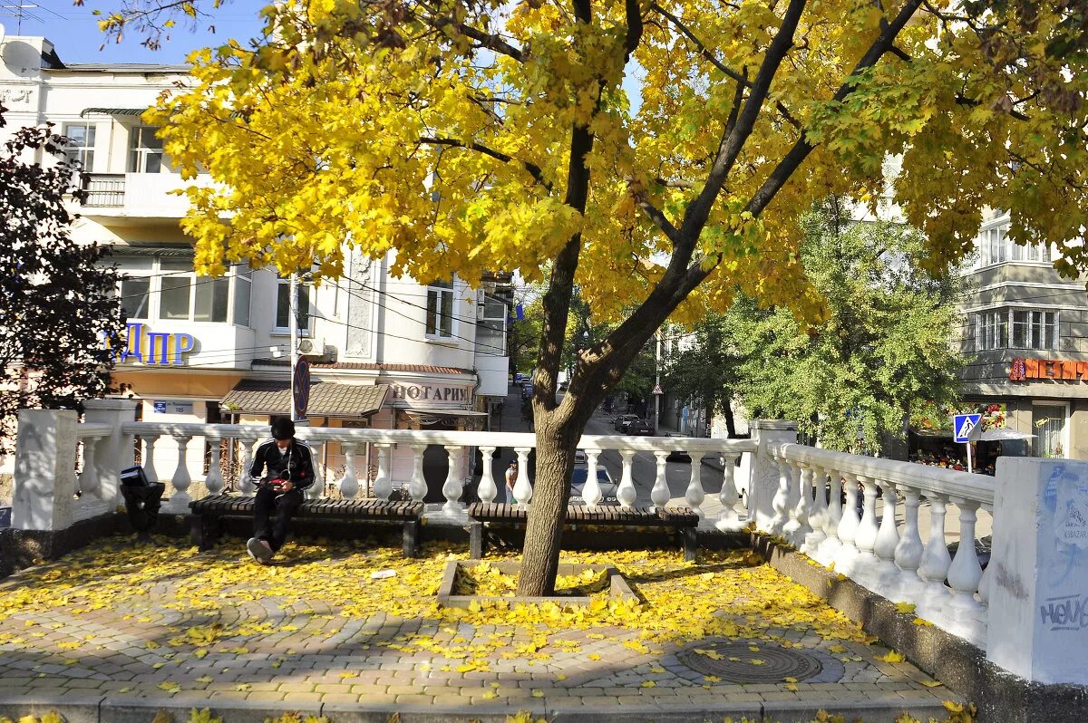 набережная ростова-на-дону. парк горького ростов осень. осенний ростов. осенний ростов. набережная реки дон ростов-на-дону.