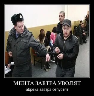 Завтра отпущу