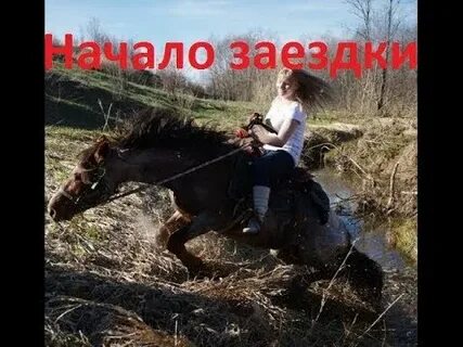 Проскочу на коне весь день