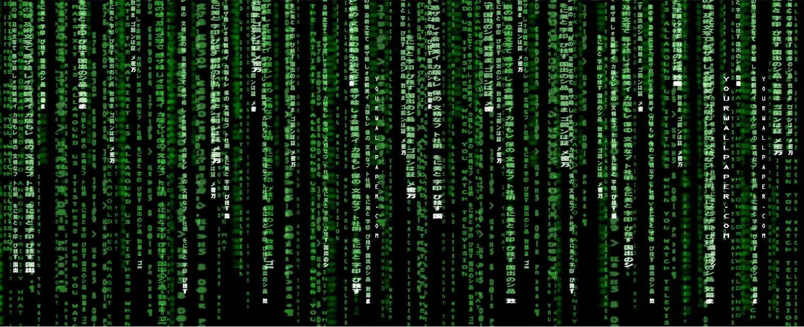 Web matrix. Web matrix