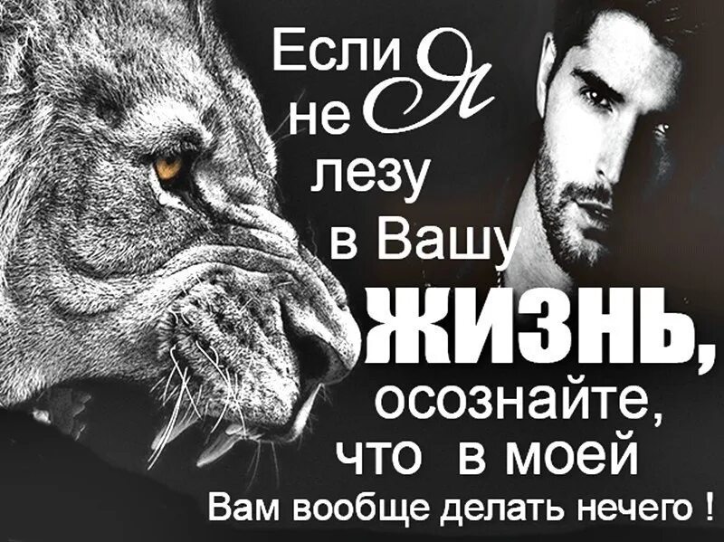 Без твоего спроса. Не лезь в мою жизнь. Не лезьте в мою жизнь статусы. Не лезь в мою жизнь статусы. Не вмешивайся в мою жизнь.