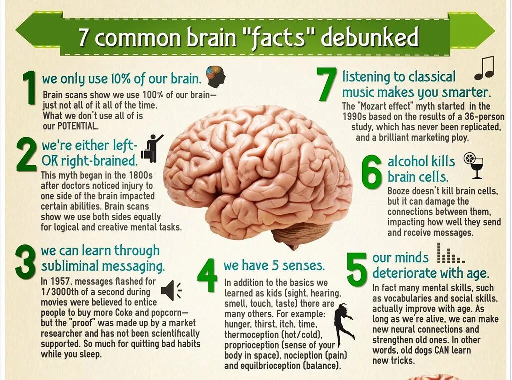 Interesting facts about Human Brain. Мозг use it. Information about Brain.