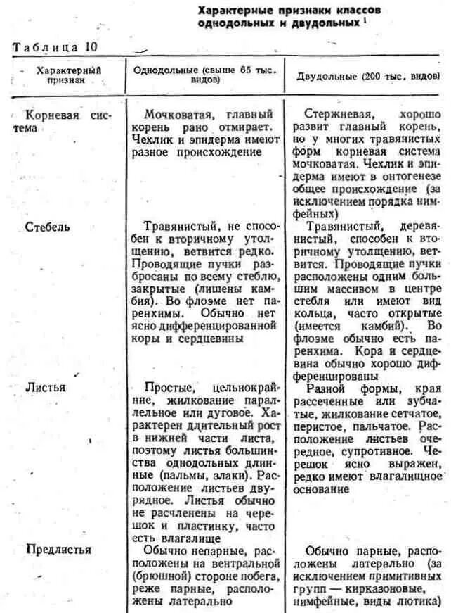 Общая характеристика двудольных. Однодольные и двудольные семейства таблица. семейства класса двудольные и однодольные таблица. характеристика семейств двудольных и однодольных растений таблица. семейство однодольных растений таблица 6.