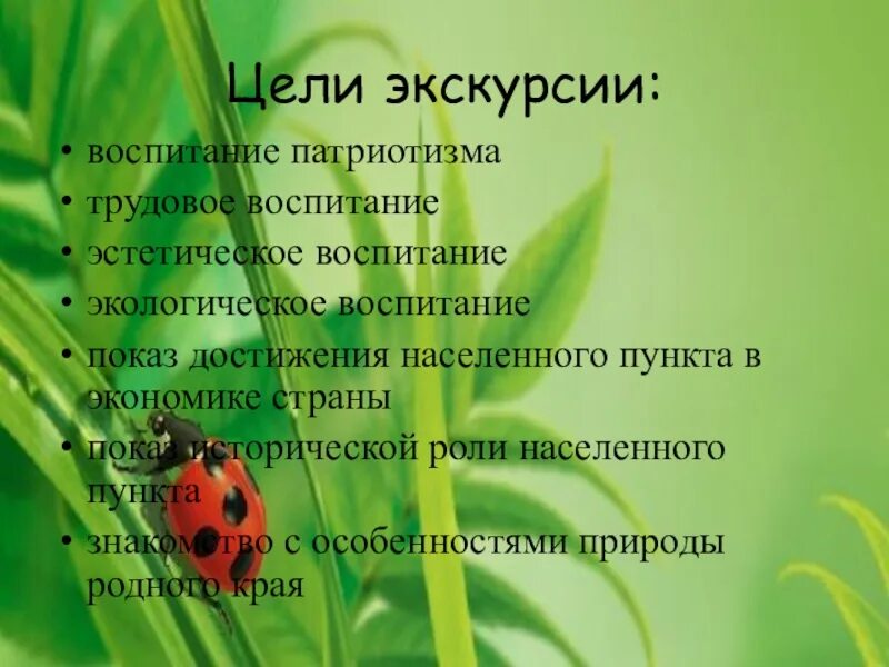 Экскурсионные цели. Цель экскурсии. Цель экскурсии на природу. Основная цель экскурсии в природу. Цель прогулка в природу.