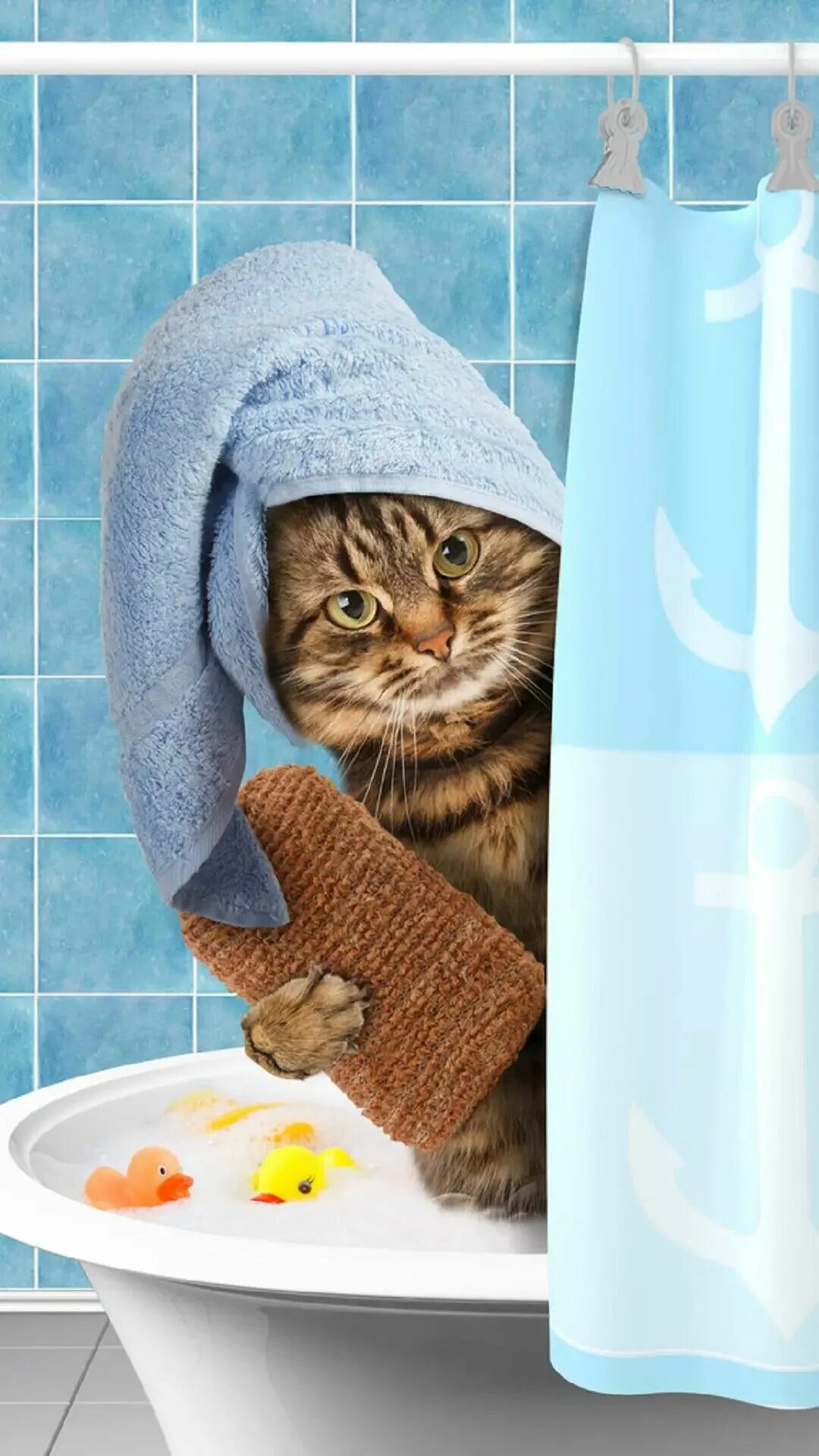 Кот в полотенце. Кот в ванне. Кошка в полотенце. Кошка с полотенцем на голове в ванной. Кот в ванной в полотенце.