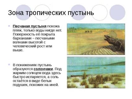 В тропических широтах образуется область почему