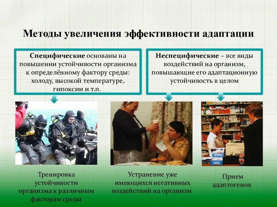 Метод увеличения. Методы увеличения эффективности адаптации. специфические методы увеличения эффективности адаптации. неспецифические методы повышения адаптации. неспецифические методы увеличения эффективности адаптации.