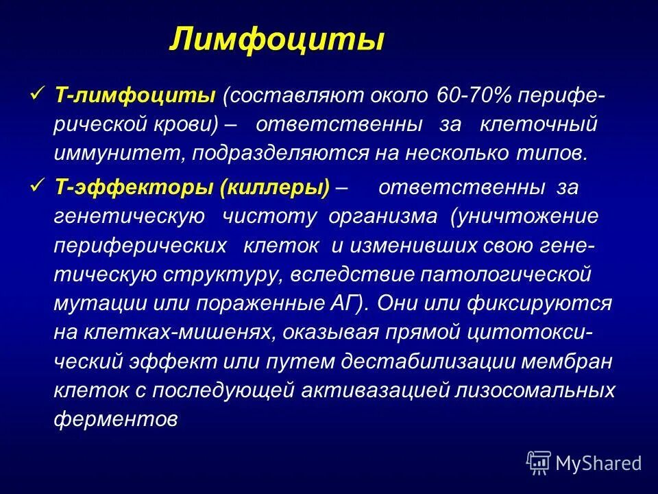 Т лимфоциты киллеры. Т лимфоциты эффекторы. лимфоциты киллеры. т лимфоциты эффекторы функции. лимфоциты эффекторы это.