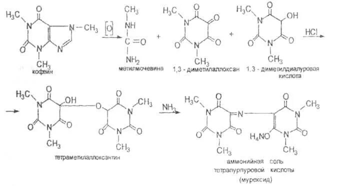 Эуфиллин мурексидная проба реакция. Аминофиллин реакции подлинности мурексидная проба. Образование мурексида из кофеина. Подлинность эуфиллина мурексидная проба.