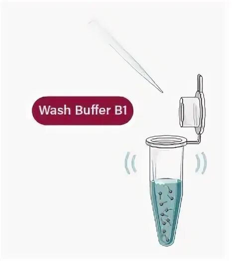 Wash buffer. Wash buffer