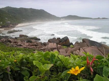 Santa catarina