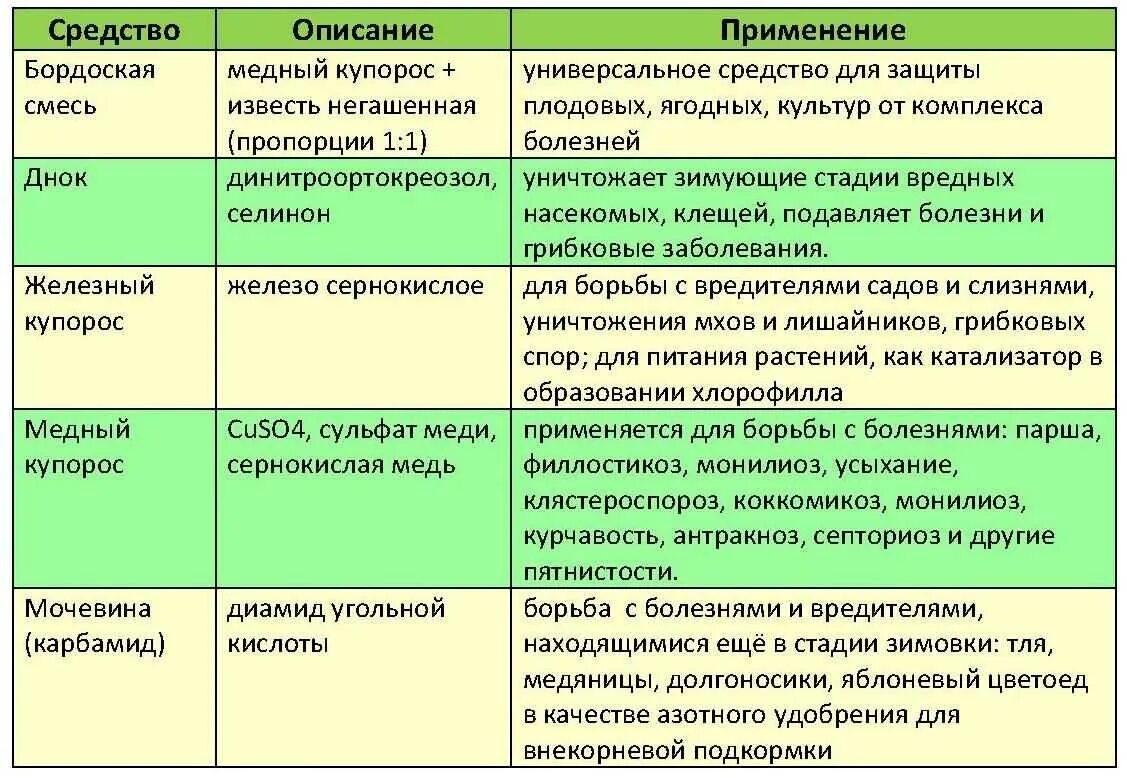 Обработка хвойных ранней весной