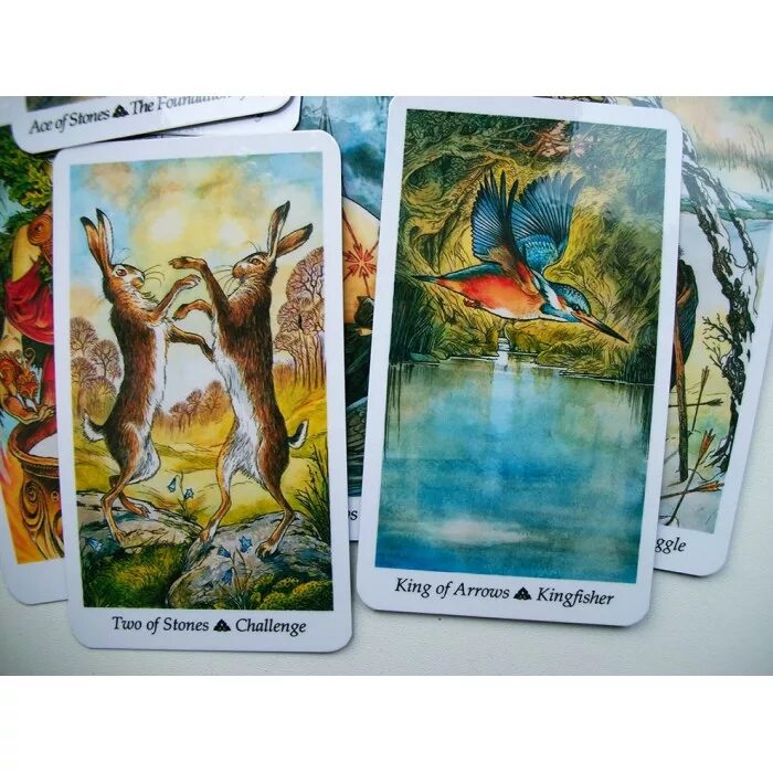 карты таро wildwood tarot. таро зачарованного леса. таро заповедного леса. таро дикого леса. карты wildwood tarot.