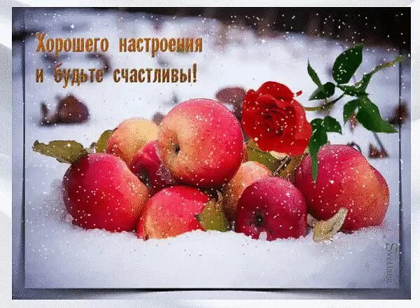Отличного дня крепкого здоровья настроения хорошего. С добрым зимним утром с пожеланиями здоровья. доброго здоровья и хорошего зимнего дня. открытки хорошего зимнего настроения. открытки с добрым утром зимние с пожеланиями здоровья.
