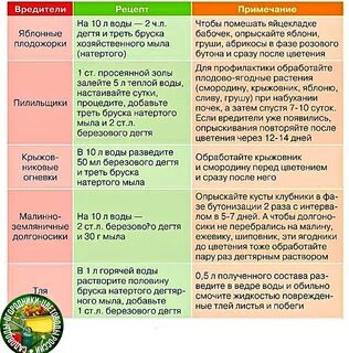 Вредители растений и борьба с ними народными средствами 2023 Садоводы-огородники