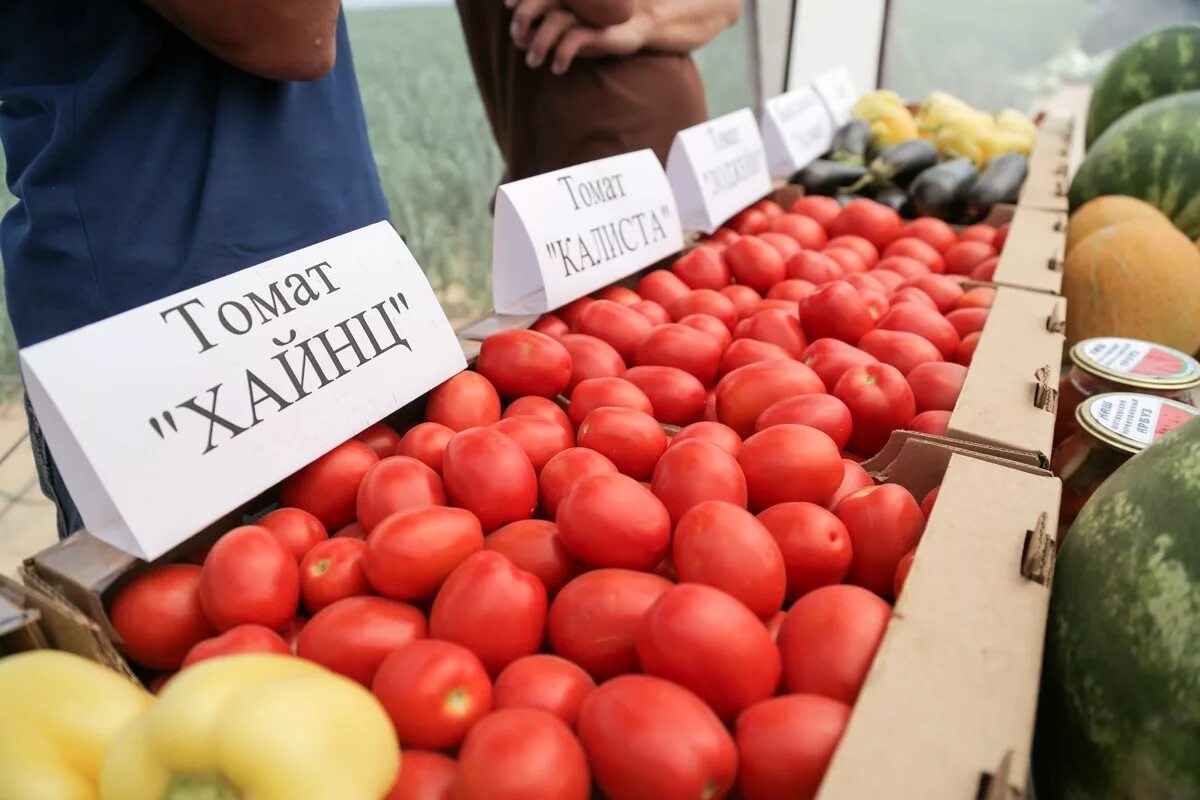 Доставка продуктов астрахань