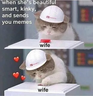 Beautiful meme