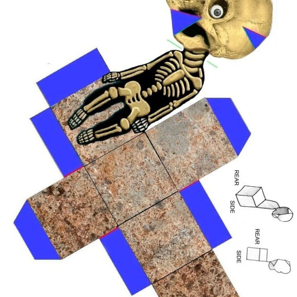 дракон следящий за тобой шаблон. иллюзия дракон из бумаги. оптическая иллюзия дракон гарднера схема. следящий дракон гарднера. оптическая иллюзия дракон гарднера.