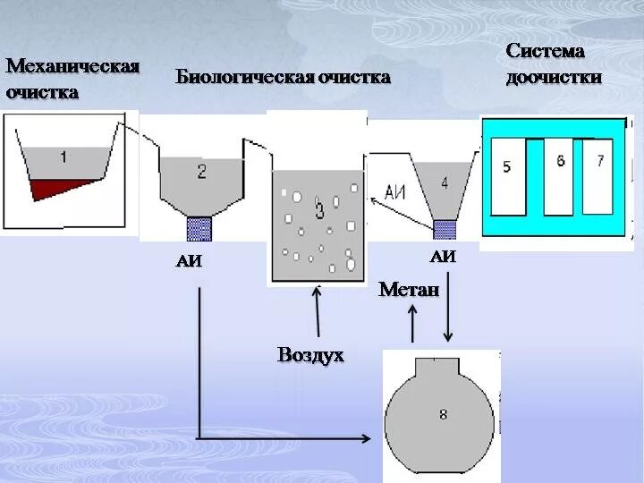 Анаэробная очистка воды. Механический метод очистки сточных вод схема. Биологический метод очистки сточных вод схема. Схема очистки воды биологический метод очистки. Аэробная очистка сточных вод схема.