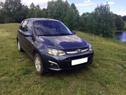 Калина 2013 года