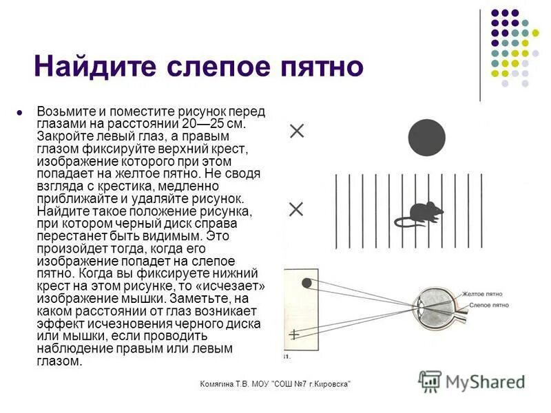 Обнаружение слепого пятна практическая работа 8. Как образуется слепое пятно. Обнаружение слепого пятна опыт Мариотта.