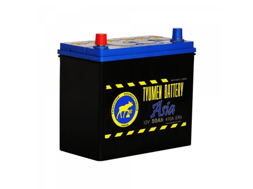 Низкие аккумуляторы автомобильные. Аккумулятор 6ct-50l Asia 50ач 12в. Tyumen Battery Asia 50 Ач 440а о/п TNSA50.0. Автомобильный аккумулятор Tyumen Battery Asia 50 Ач. АКБ Тюмень Asia 12в 6ст 50 а/ч ОП.