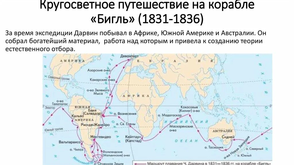 Путешествие Чарльза Дарвина на корабле Бигль маршрут. Путь Дарвина на корабле Бигль. Дата кругосветного путешествия